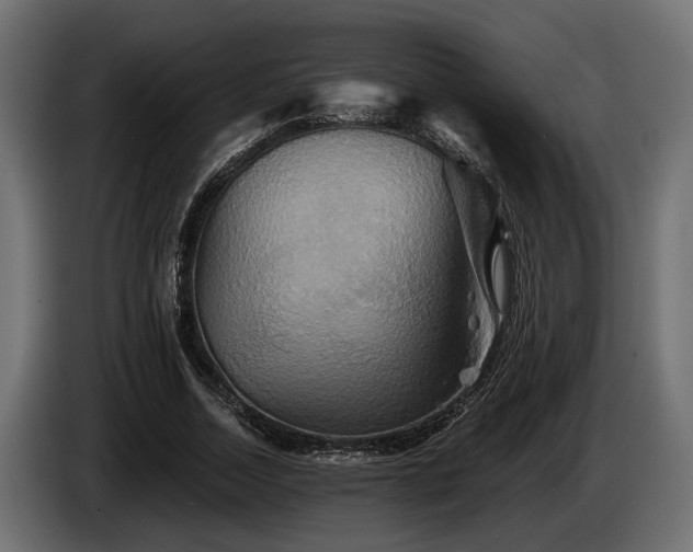 X0000084520730200703021355