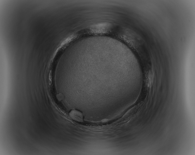 X0000084520731200703021355