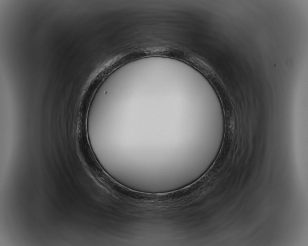 X0000084520732200703021355