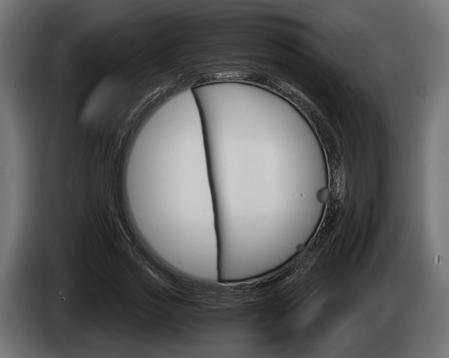 X0000084520733200703021355