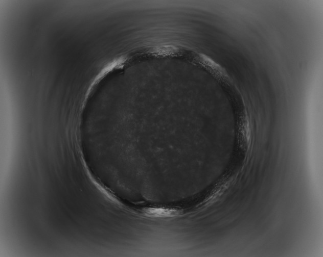 X0000084520734200703021355