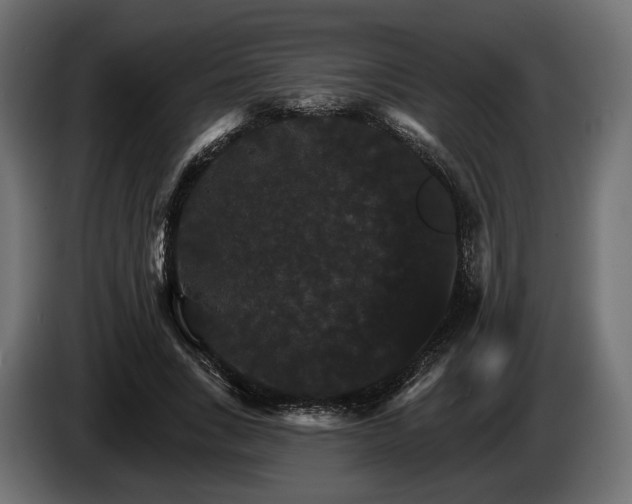 X0000084520735200703021355