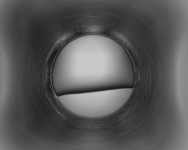 X0000084520736200703021355