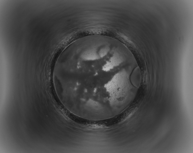 X0000084520737200703021355