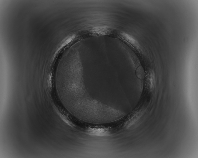 X0000084520738200703021355