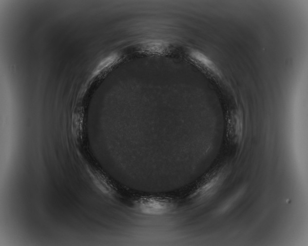 X0000084520739200703021355