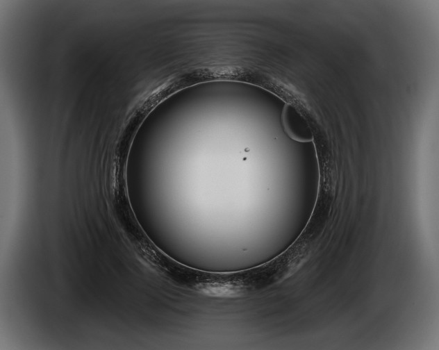 X0000084520740200703021355