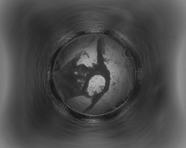 X0000084520741200703021355