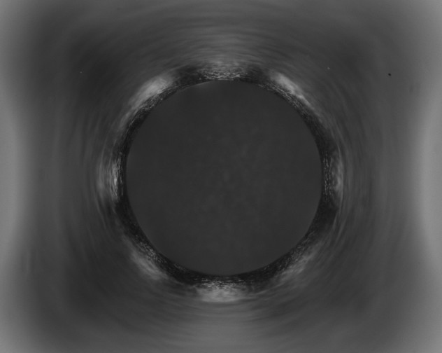 X0000084520742200703021355