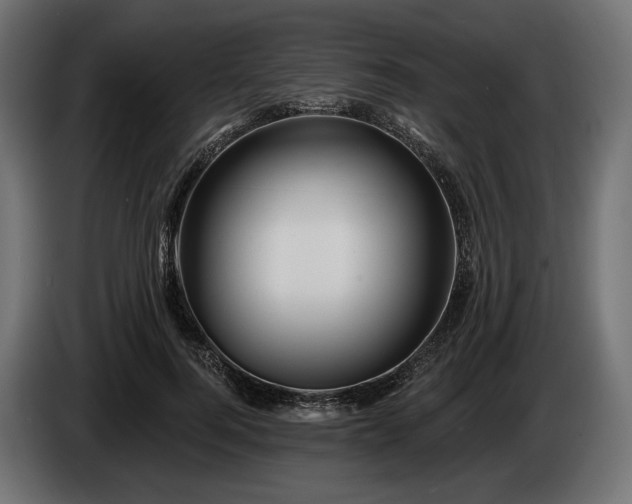 X0000084520744200703021355