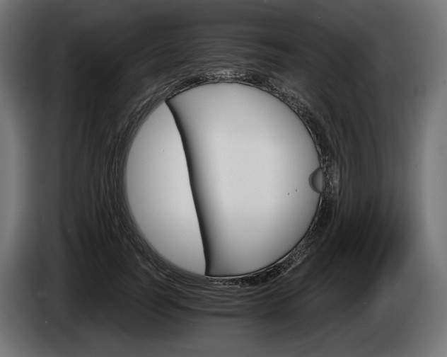 X0000084520746200703021355