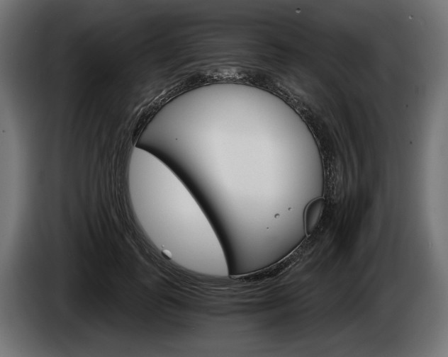 X0000084520747200703021355