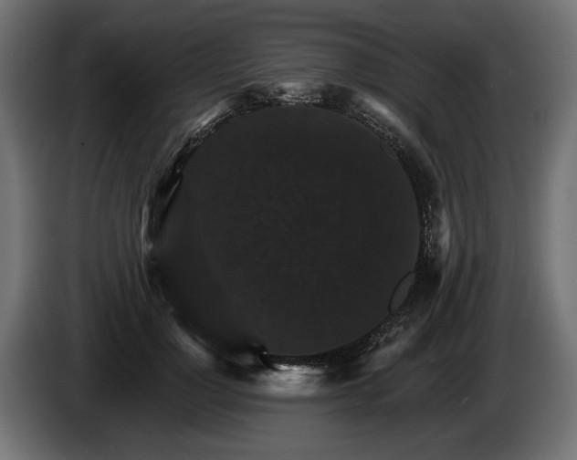 X0000084520748200703021355