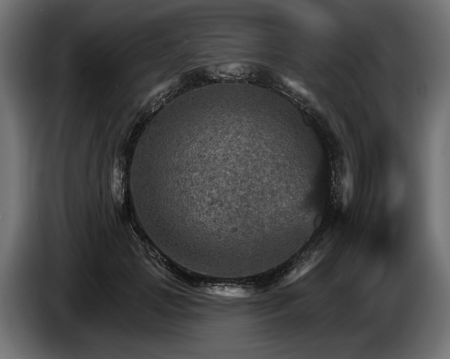 X0000084520749200703021355