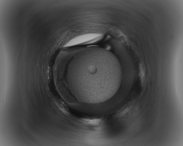 X0000084520750200703021355