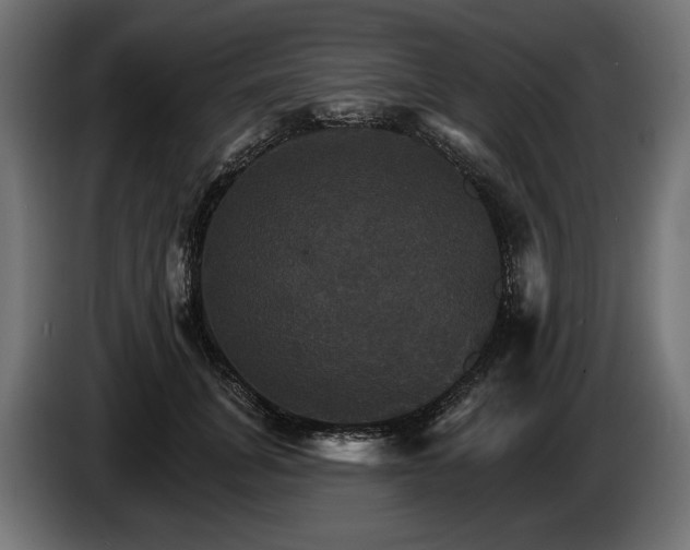 X0000084520751200703021355