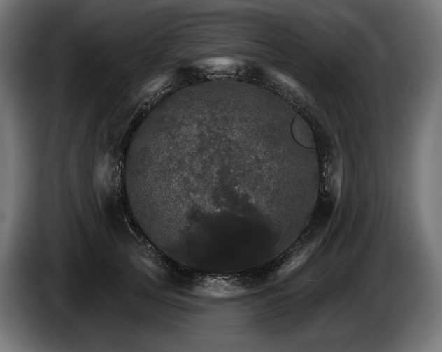 X0000084520753200703021355