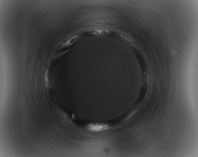 X0000084520754200703021355