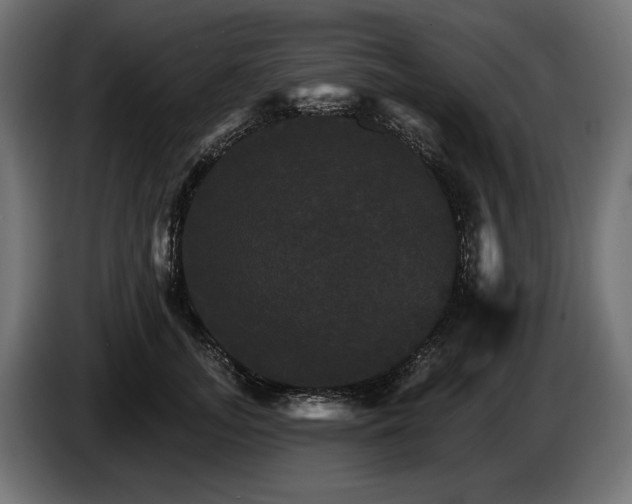 X0000084520755200703021355