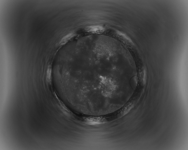 X0000084520757200703021355