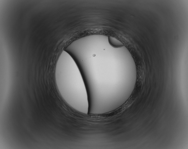 X0000084520758200703021355