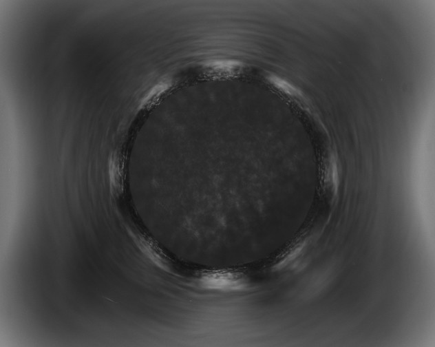 X0000084520759200703021355