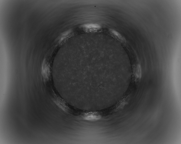 X0000084520761200703021355