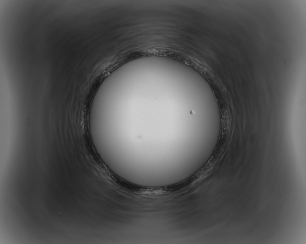 X0000084520762200703021355