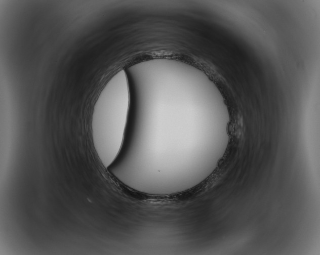 X0000084520763200703021355