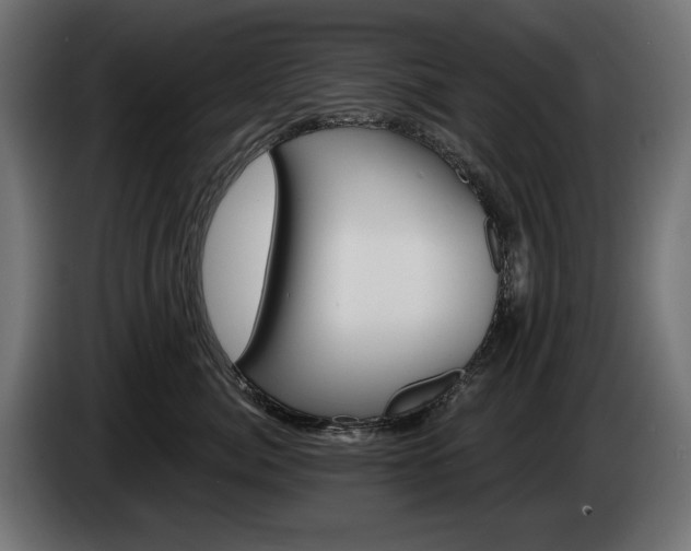 X0000084520764200703021355