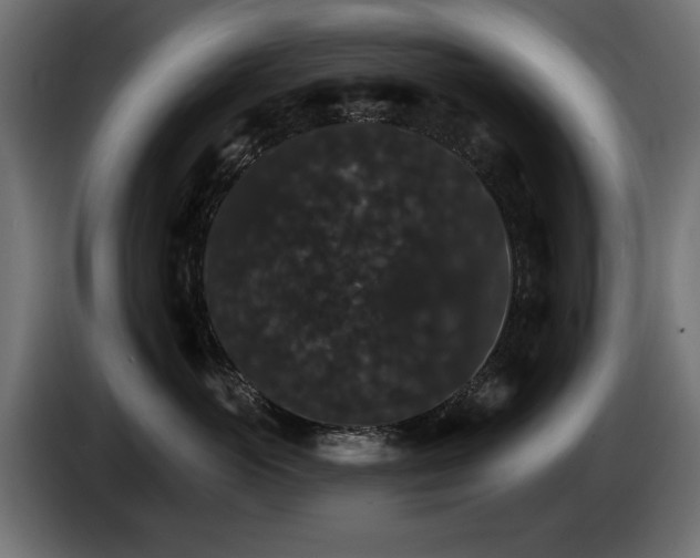 X0000084520765200703021355