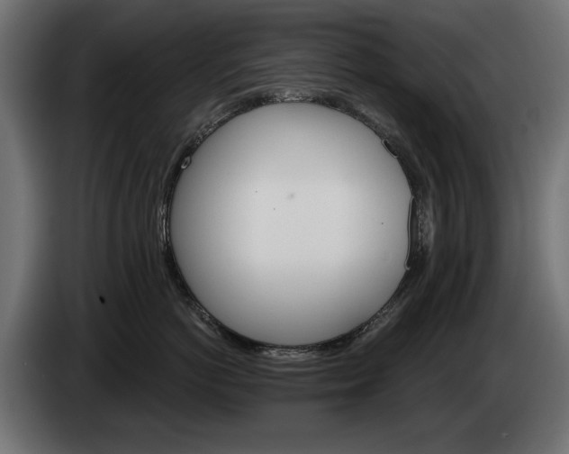 X0000084520766200703021355