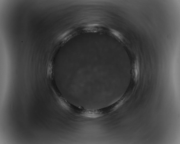 X0000084520767200703021355