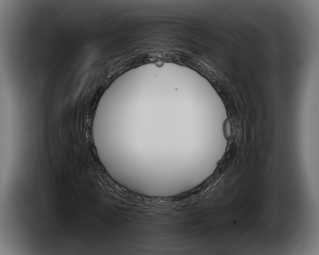 X0000084520770200703021355