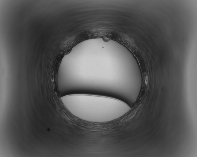 X0000084520771200703021355