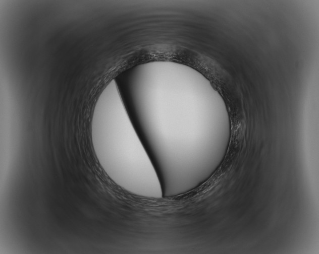 X0000084520772200703021355