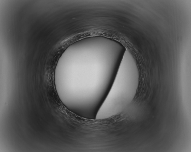 X0000084520773200703021355