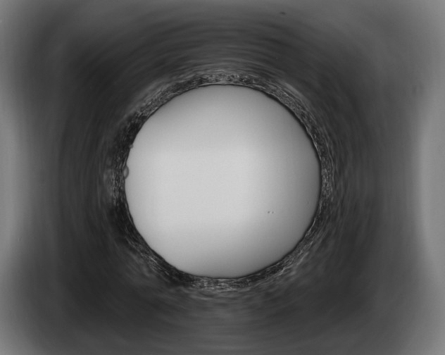 X0000084520774200703021355