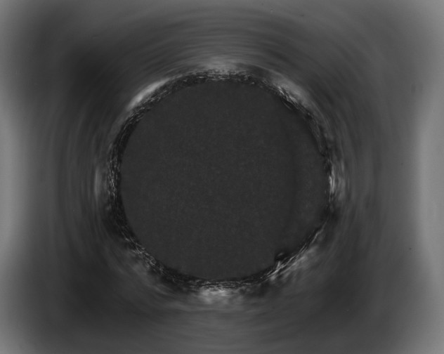 X0000084520776200703021355