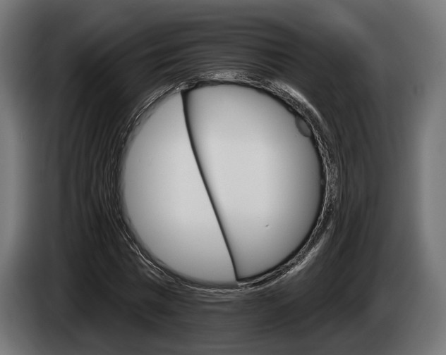 X0000084520777200703021355