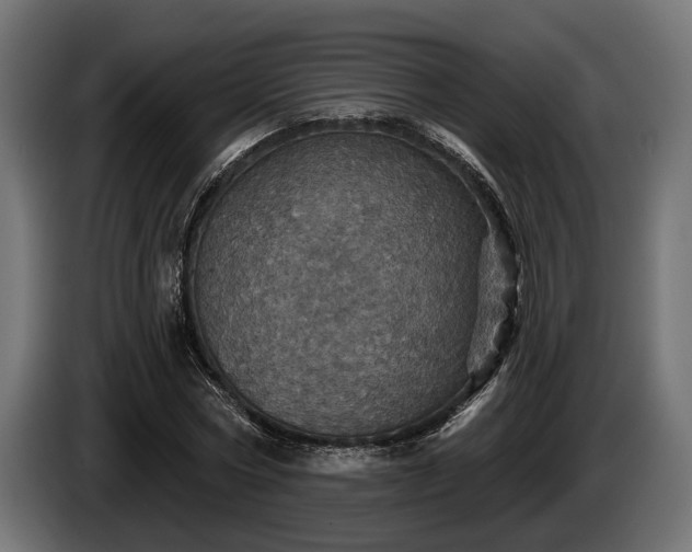 X0000084520778200703021355