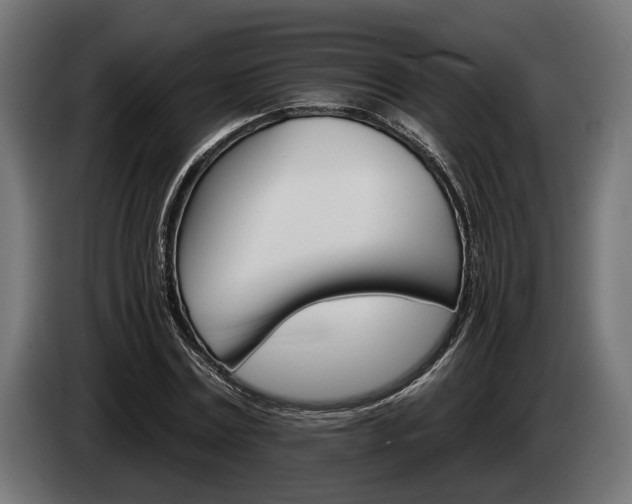 X0000084520779200703021355