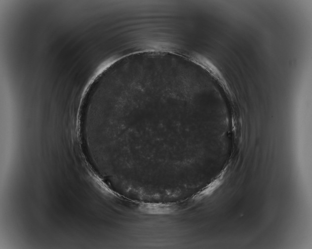 X0000084520780200703021354