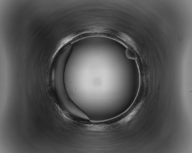 X0000084520781200703021354