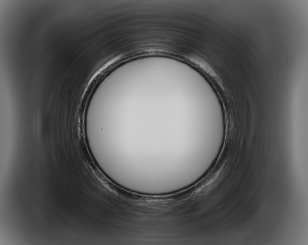 X0000084520782200703021354