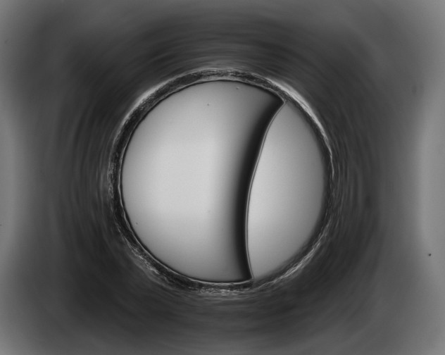 X0000084520783200703021354