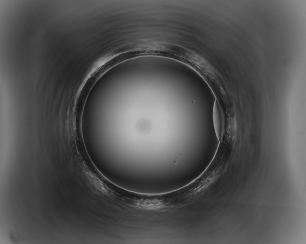 X0000084520784200703021354