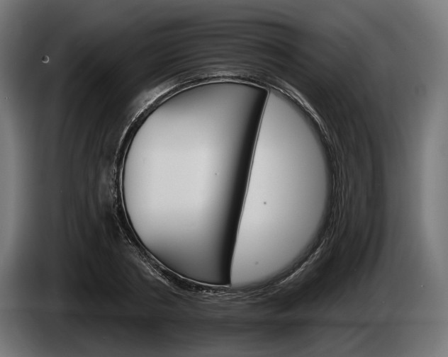 X0000084520786200703021354