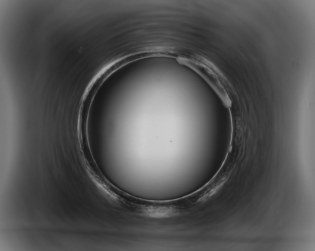 X0000084520788200703021354