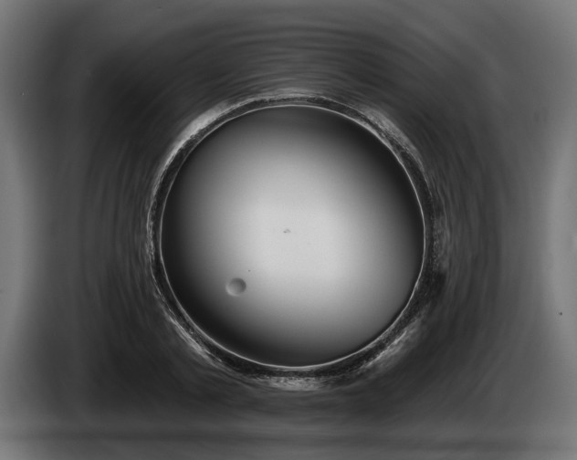 X0000084520789200703021354